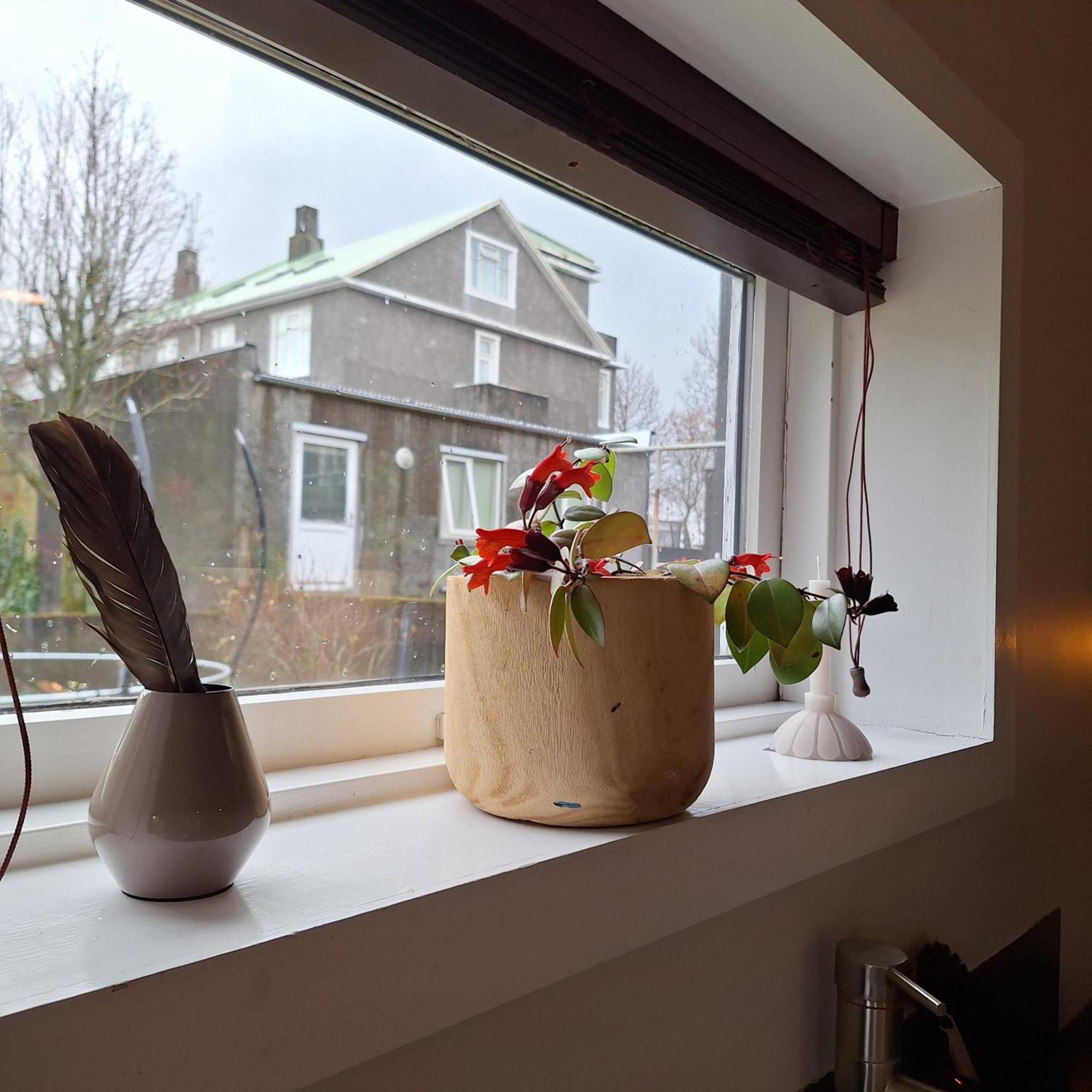 Central Reykjavik - Garden Cottage Esterno foto